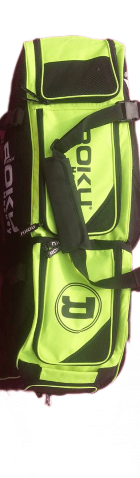 ROKU Stick Bag